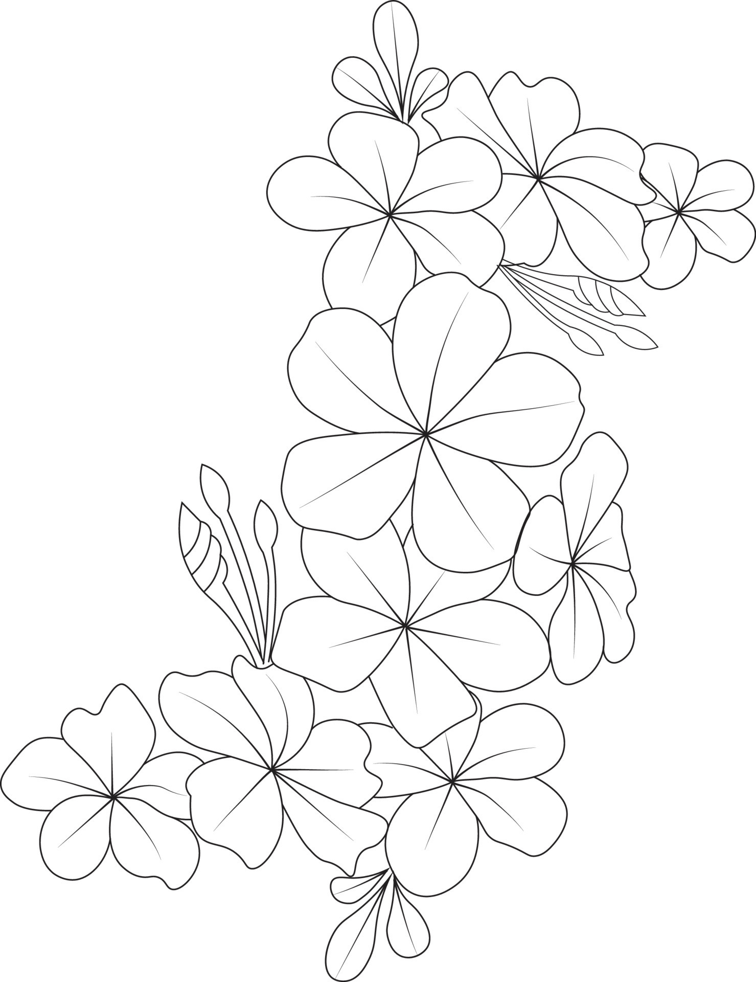 160+ Coloring Page Flowers: Blossom Your Imagination 54