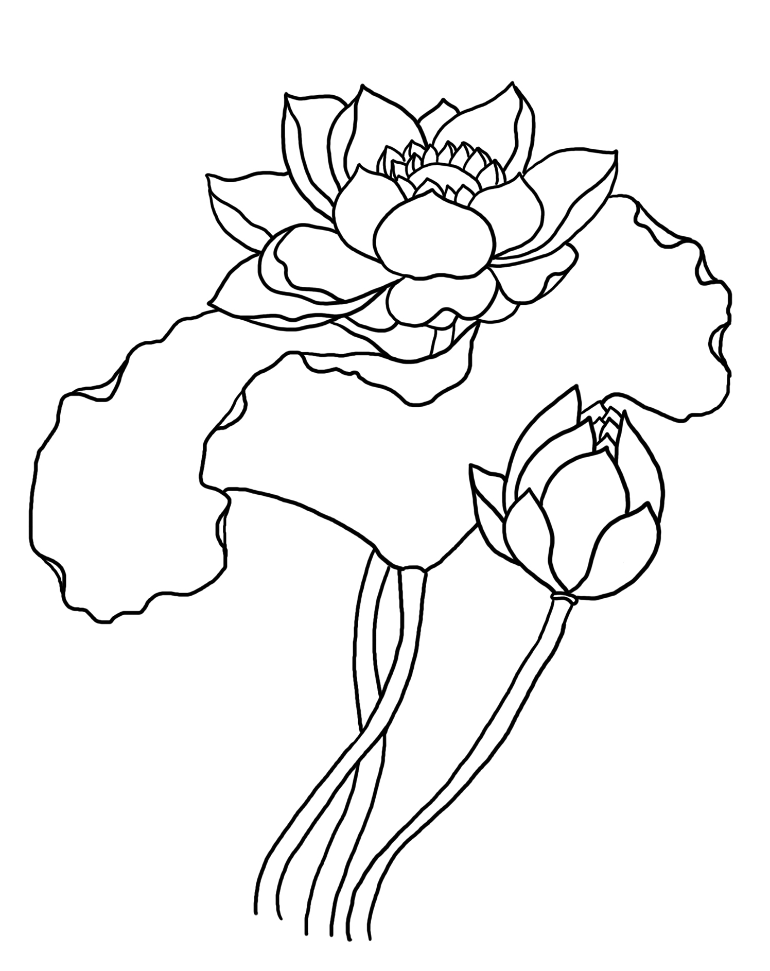 160+ Coloring Page Flowers: Blossom Your Imagination 56