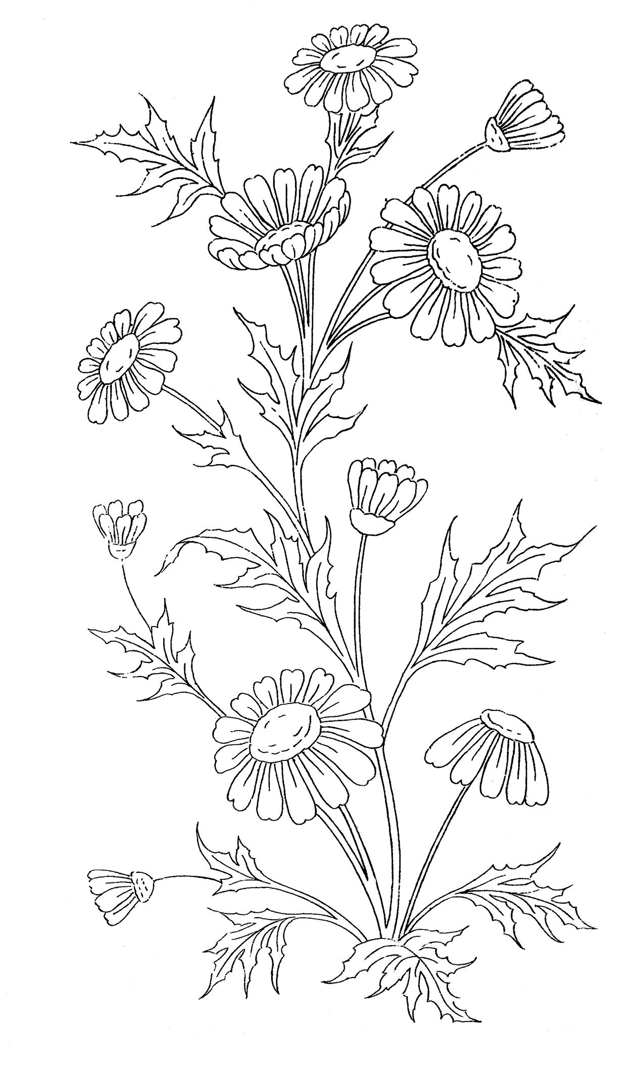 160+ Coloring Page Flowers: Blossom Your Imagination 59