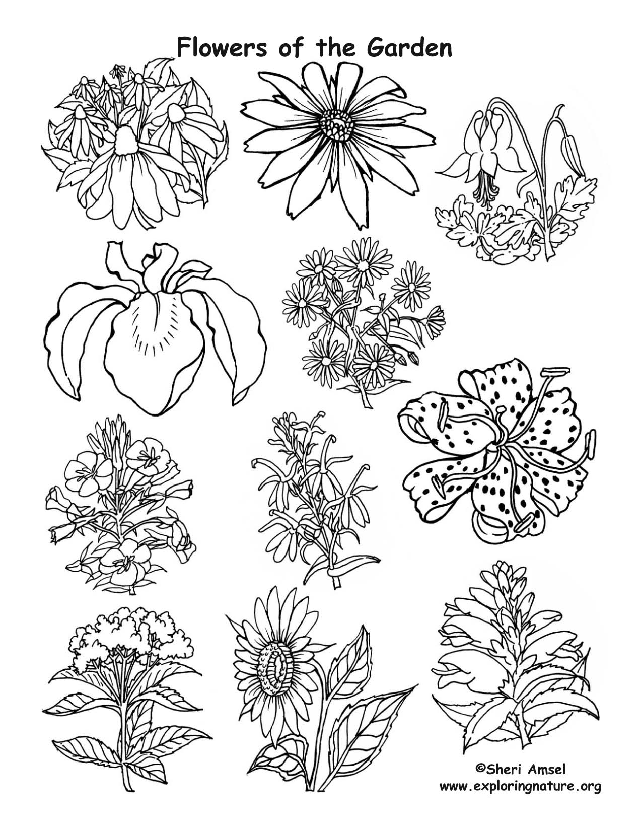 160+ Coloring Page Flowers: Blossom Your Imagination 65