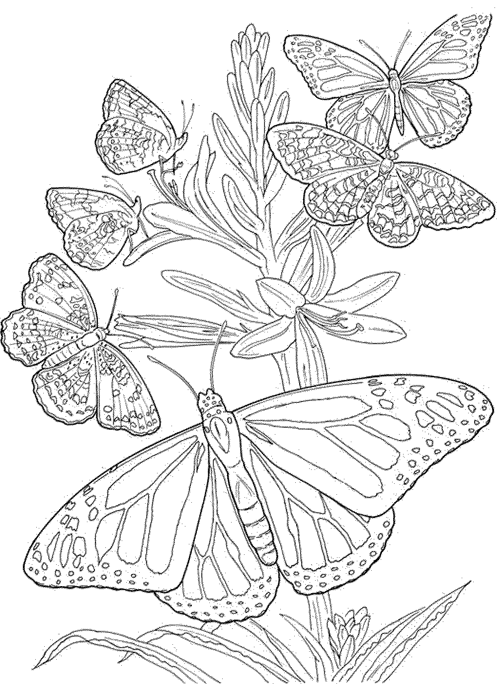 132 Mandala Coloring Pages FREE Printable 44