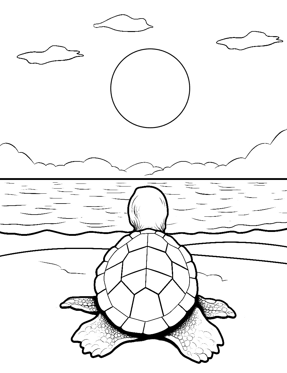 133 Sun and Sand Coloring Pages Free Printable 110