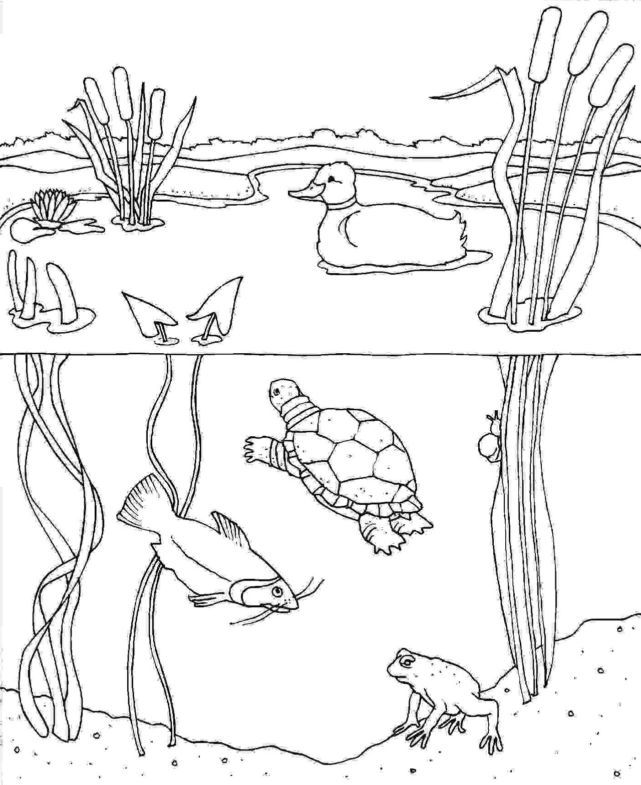 133 Sun and Sand Coloring Pages Free Printable 97