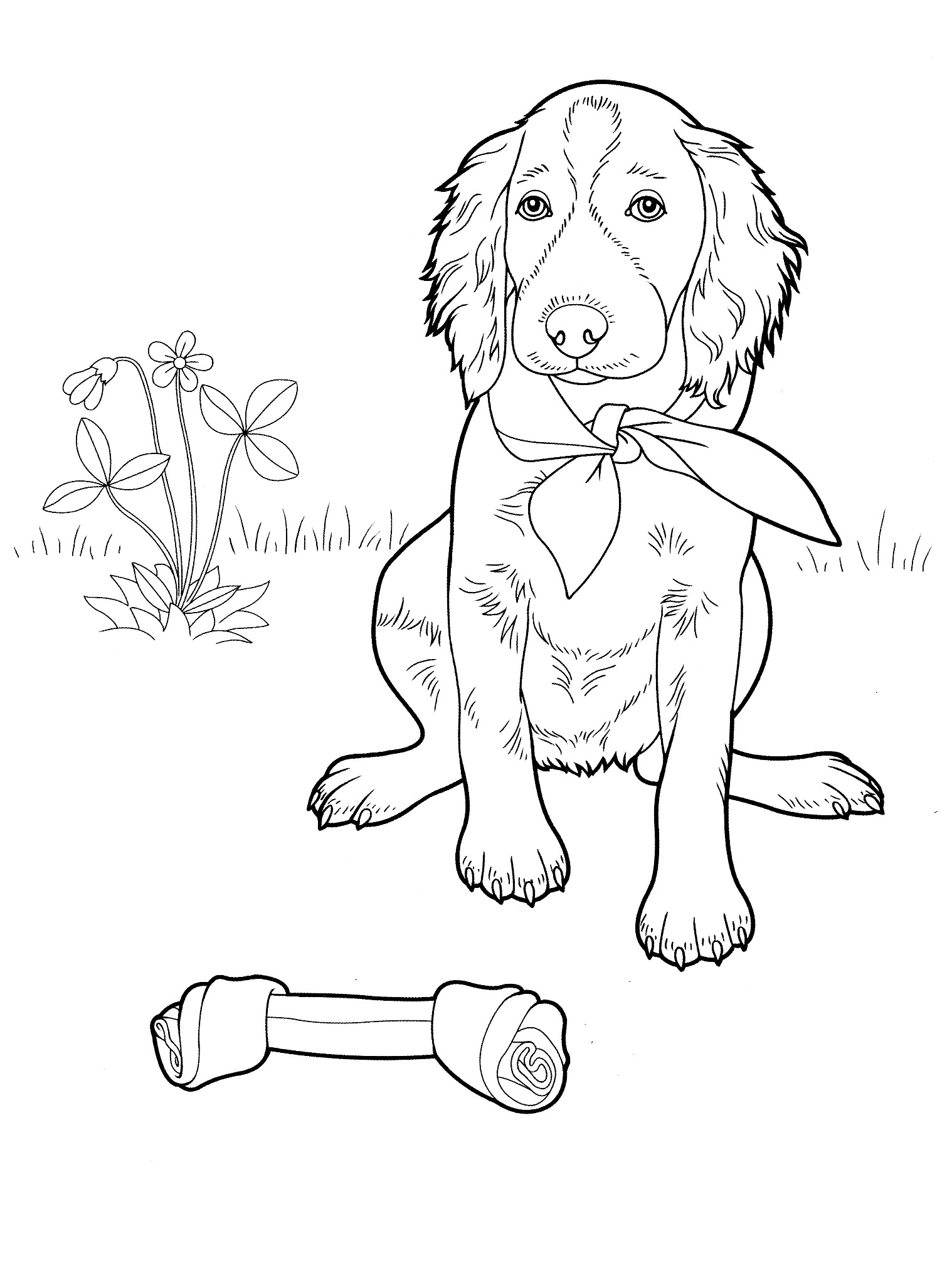 150+ Dementia Friendly Easy Coloring Pages for Dementia Patients Printable 40