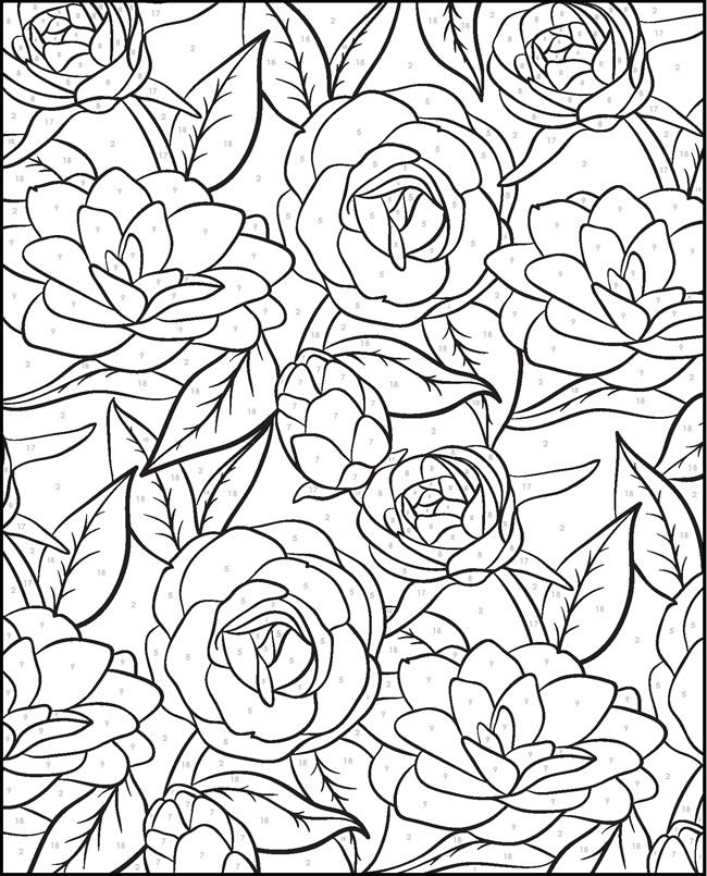 119 Adult Color By Numbers Printable 49