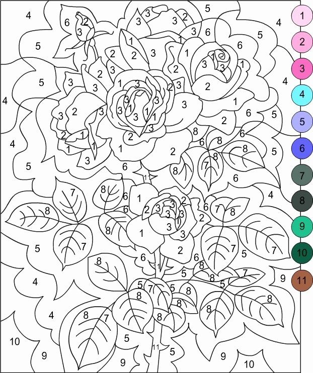 119 Adult Color By Numbers Printable 67