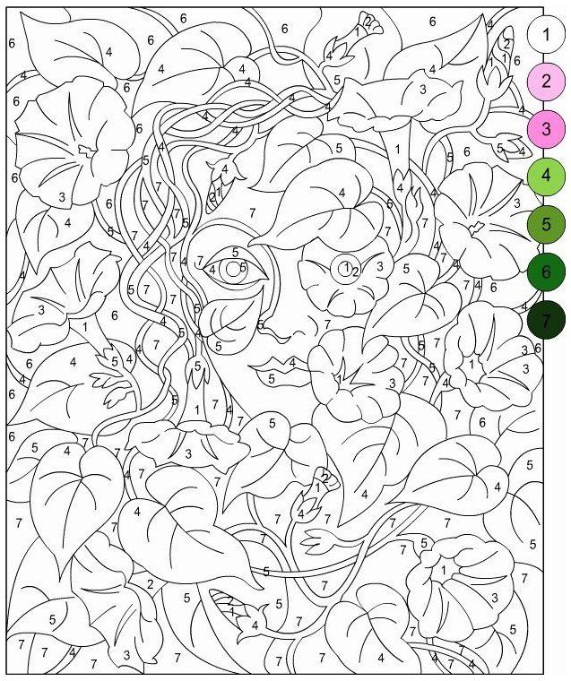 119 Adult Color By Numbers Printable 69