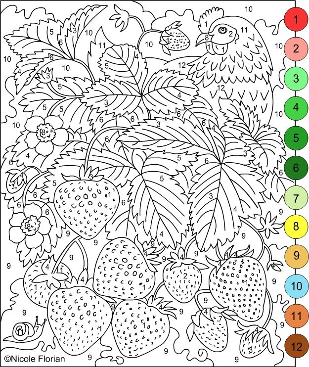 119 Adult Color By Numbers Printable 88