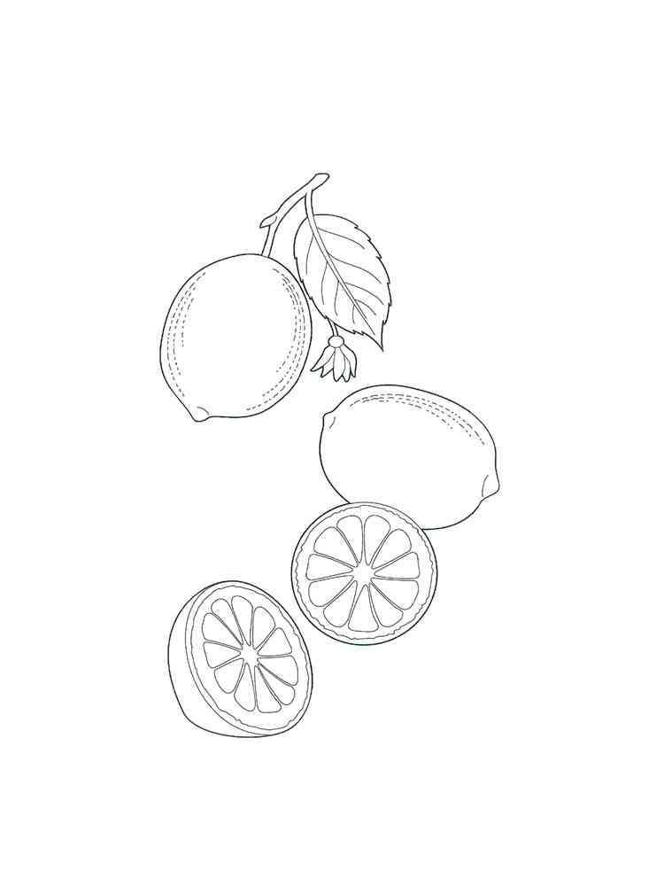 132 Lemon Coloring Pages Printable 118