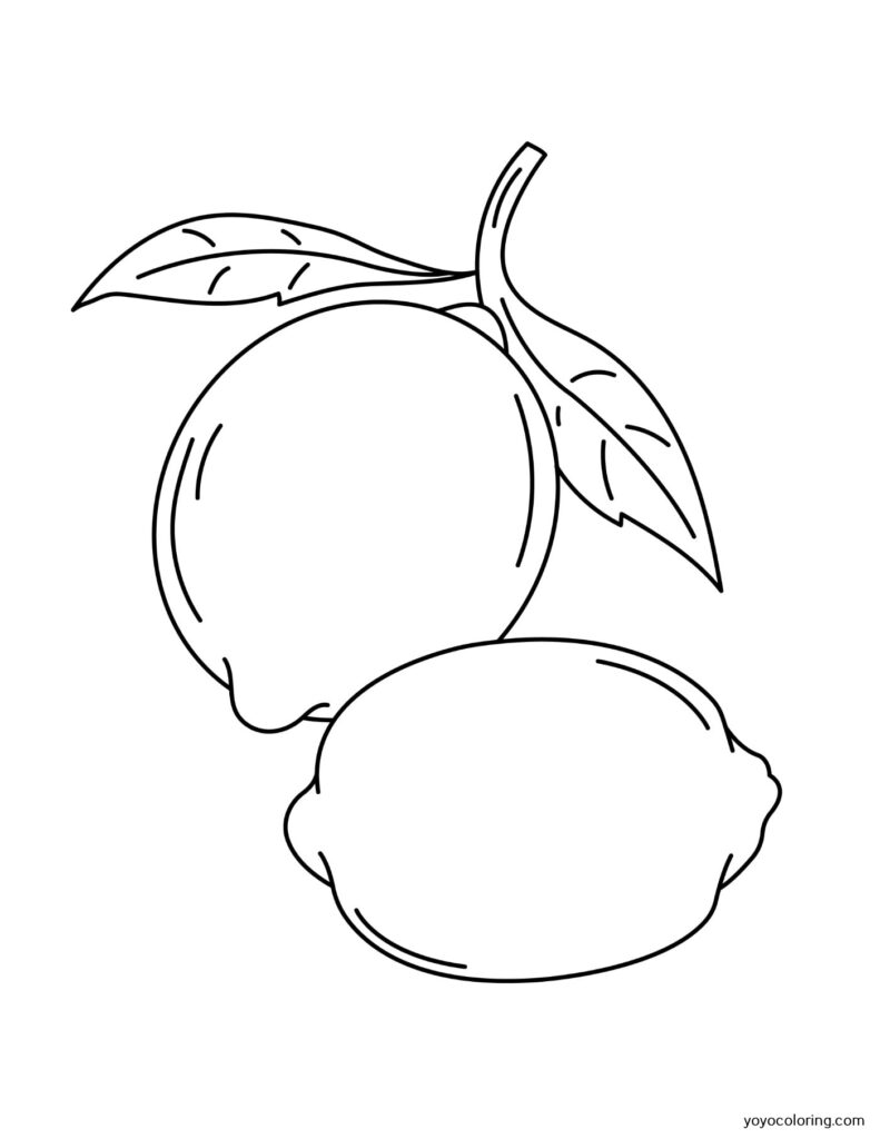 132 Lemon Coloring Pages Printable 13