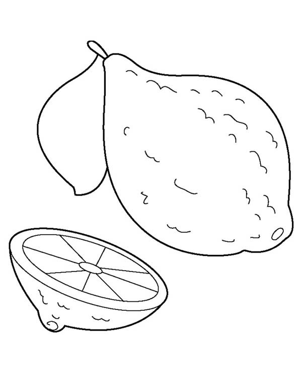 132 Lemon Coloring Pages Printable 14