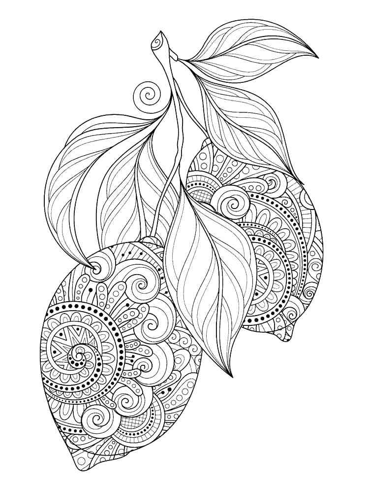 132 Lemon Coloring Pages Printable 15