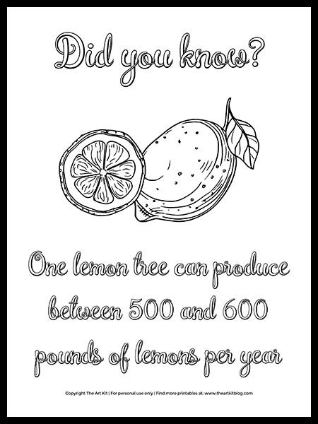 132 Lemon Coloring Pages Printable 16