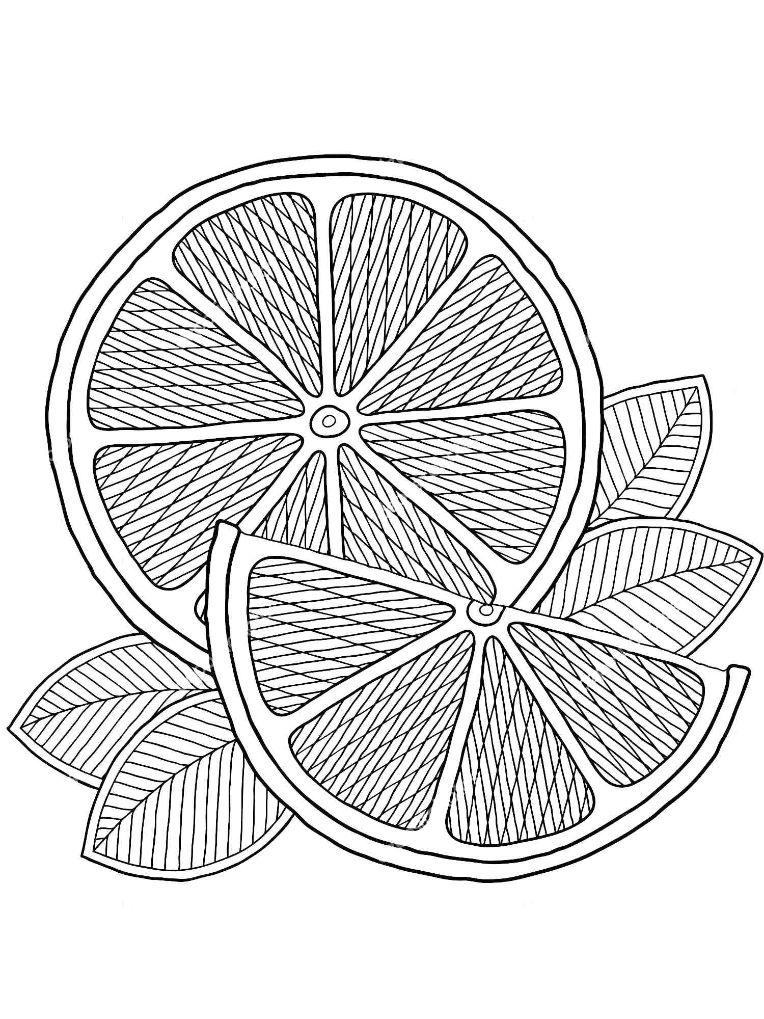 132 Lemon Coloring Pages Printable 19