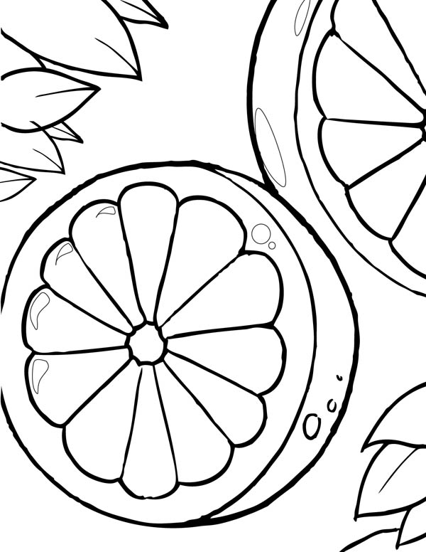 132 Lemon Coloring Pages Printable 29