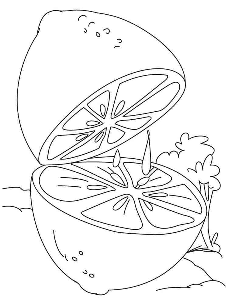 132 Lemon Coloring Pages Printable 50