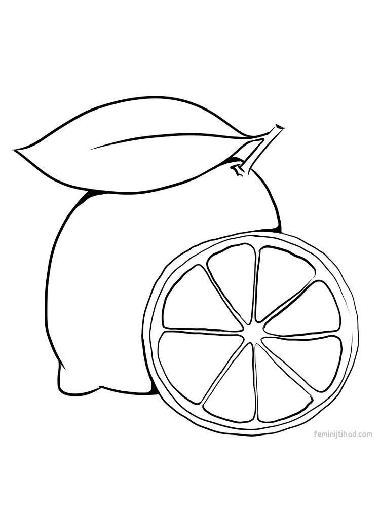 132 Lemon Coloring Pages Printable 63