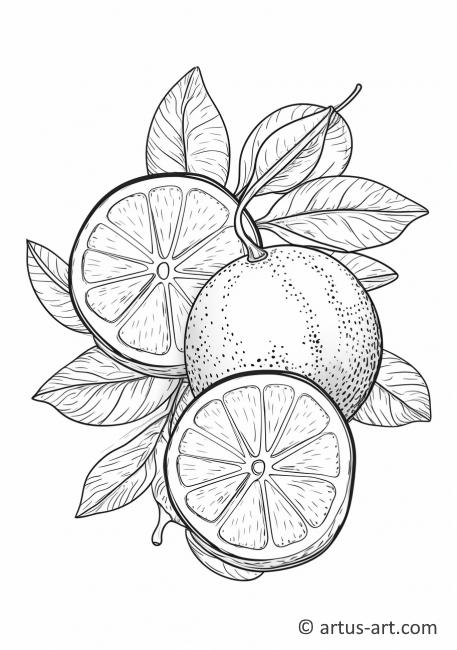 132 Lemon Coloring Pages Printable 74