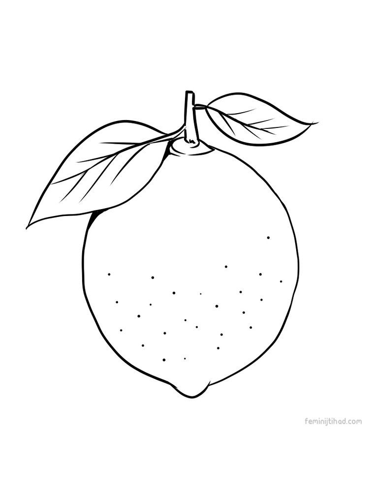 132 Lemon Coloring Pages Printable 79