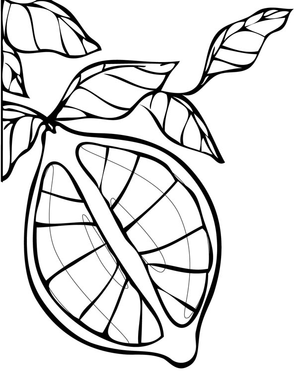 132 Lemon Coloring Pages Printable 80