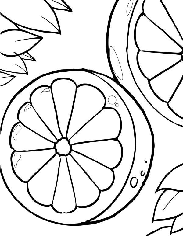 132 Lemon Coloring Pages Printable 81