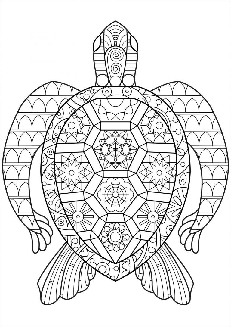 157 Endearing Tortoise Coloring Pages Printable 10