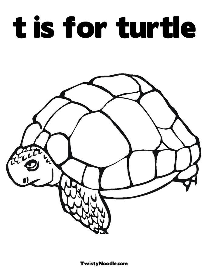 157 Endearing Tortoise Coloring Pages Printable 106