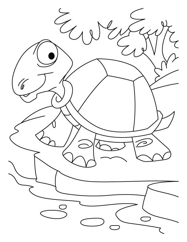 157 Endearing Tortoise Coloring Pages Printable 108