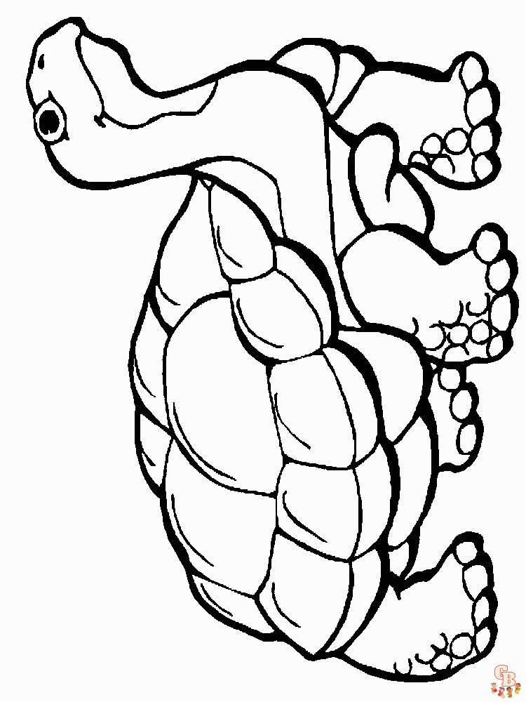 157 Endearing Tortoise Coloring Pages Printable 109