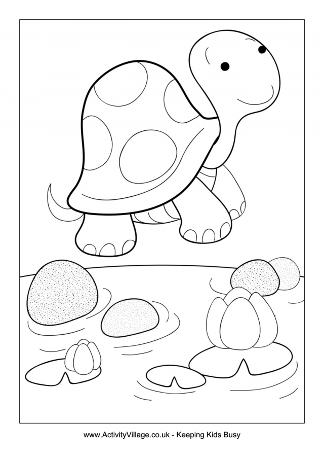 157 Endearing Tortoise Coloring Pages Printable 111