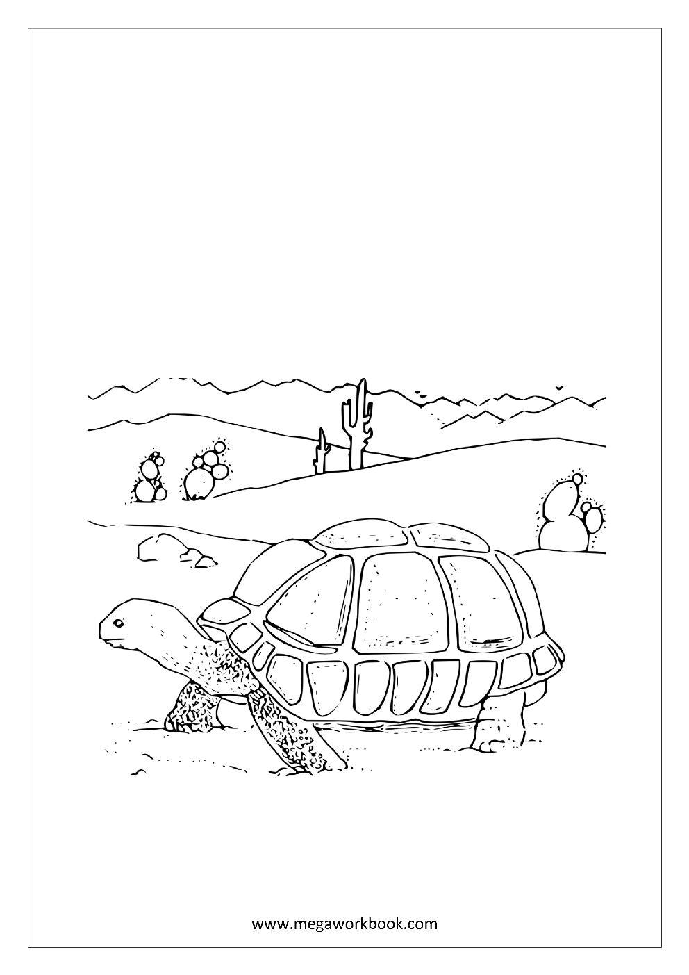 157 Endearing Tortoise Coloring Pages Printable 112