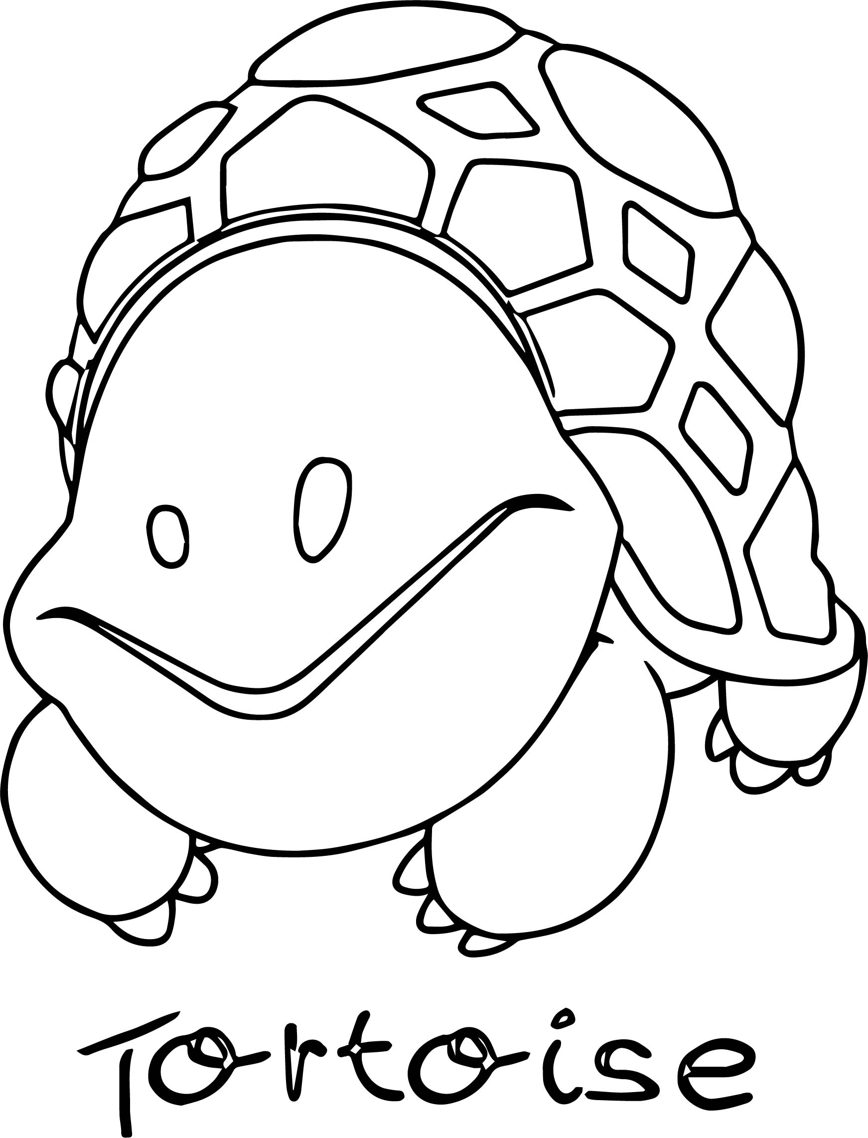 157 Endearing Tortoise Coloring Pages Printable 113