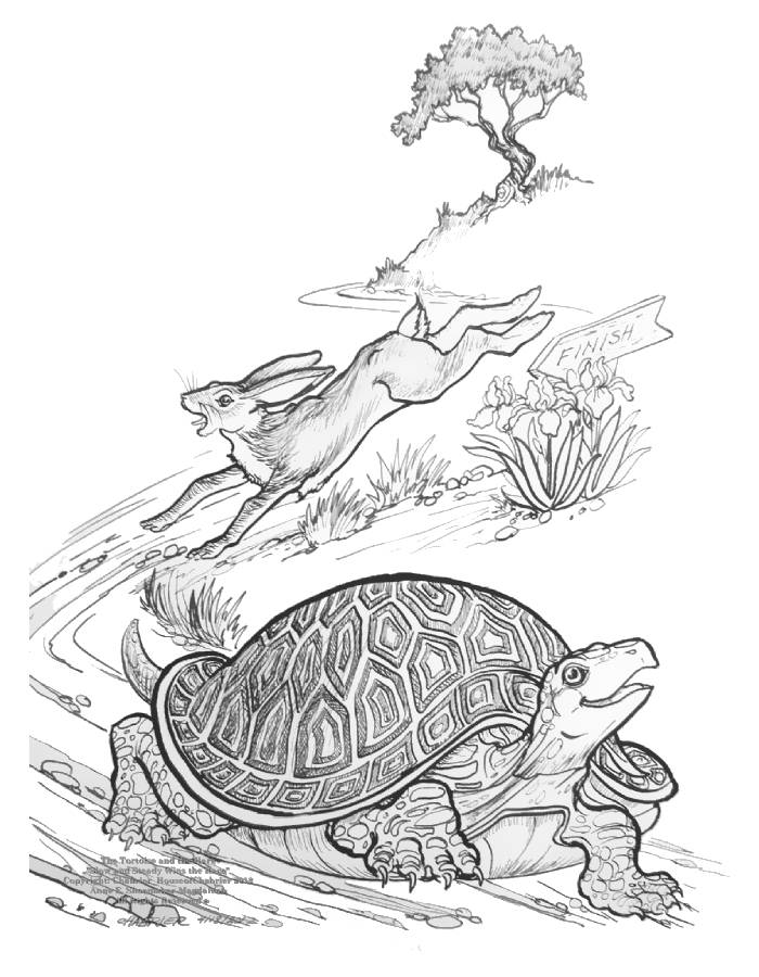 157 Endearing Tortoise Coloring Pages Printable 114