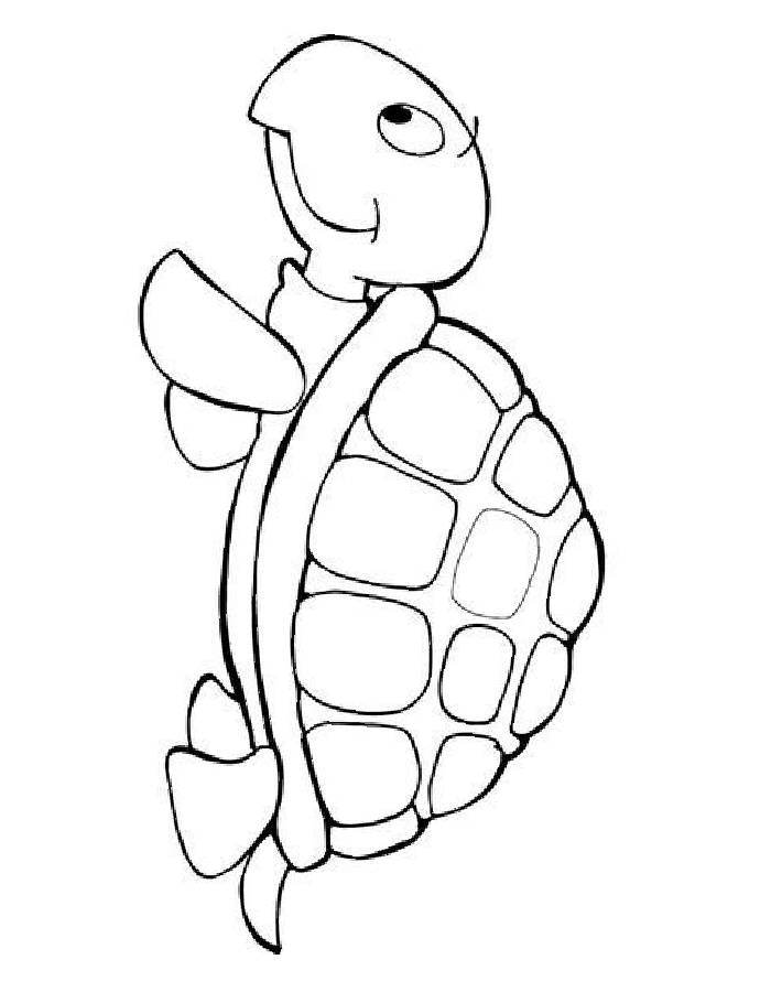 157 Endearing Tortoise Coloring Pages Printable 116