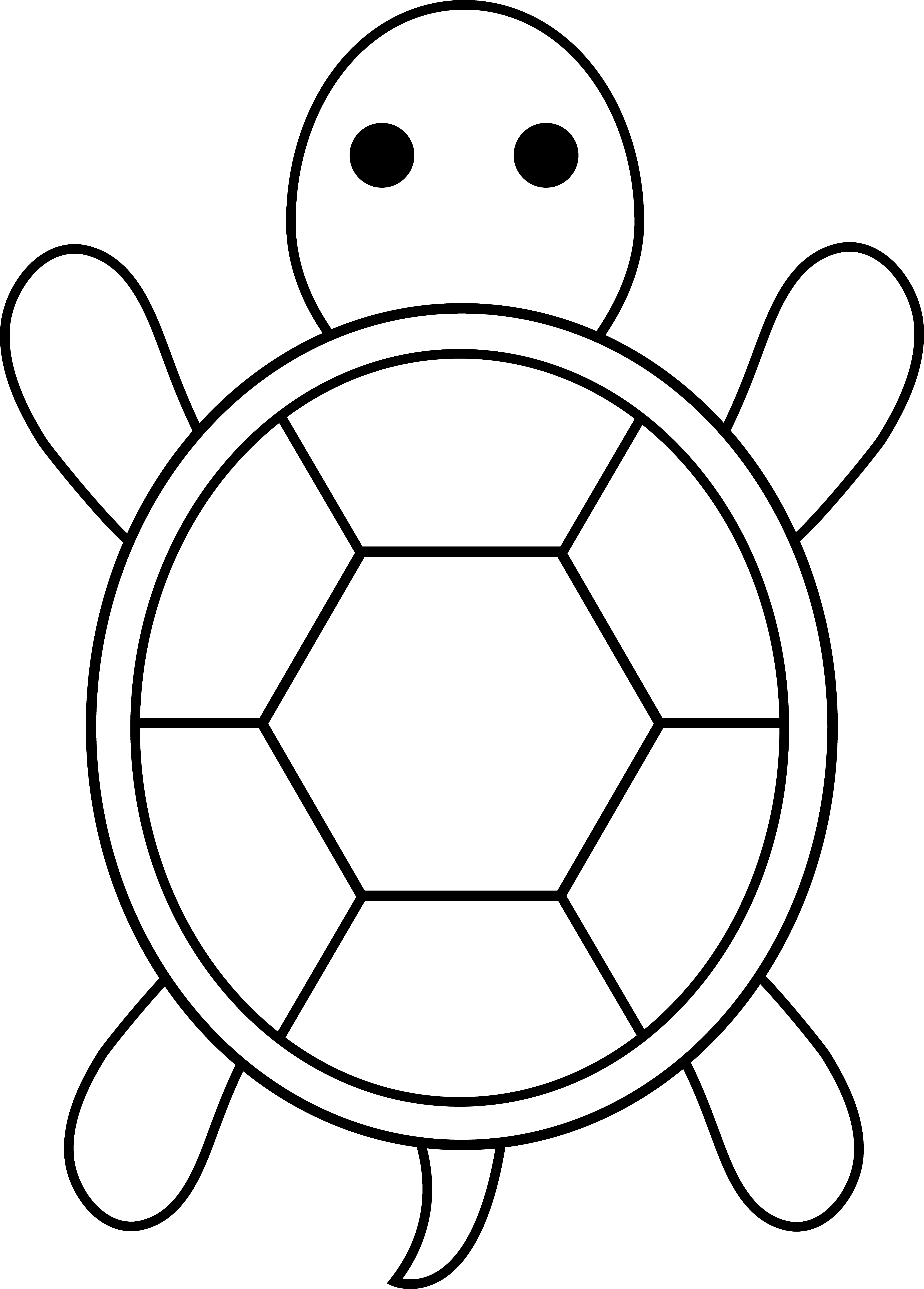 157 Endearing Tortoise Coloring Pages Printable 119