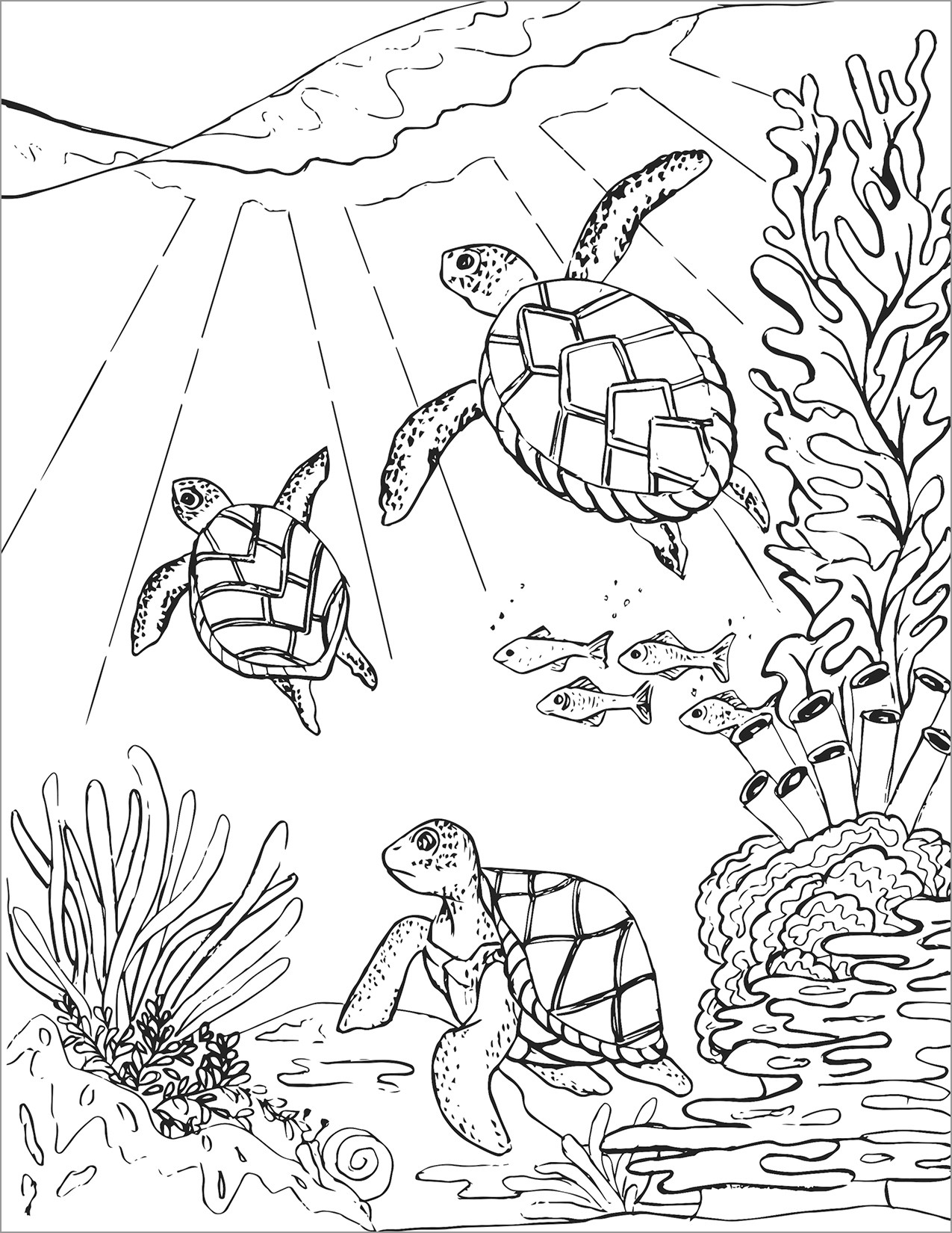 157 Endearing Tortoise Coloring Pages Printable 120