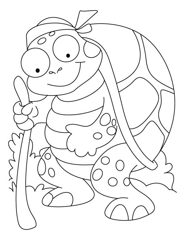 157 Endearing Tortoise Coloring Pages Printable 123