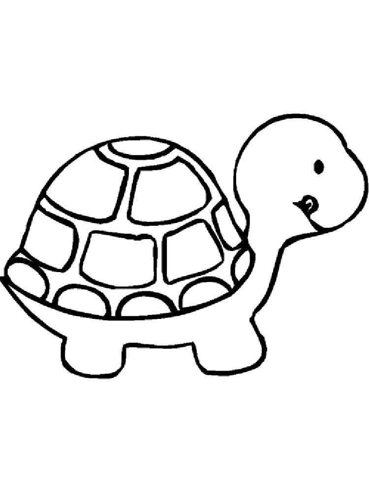 157 Endearing Tortoise Coloring Pages Printable 145