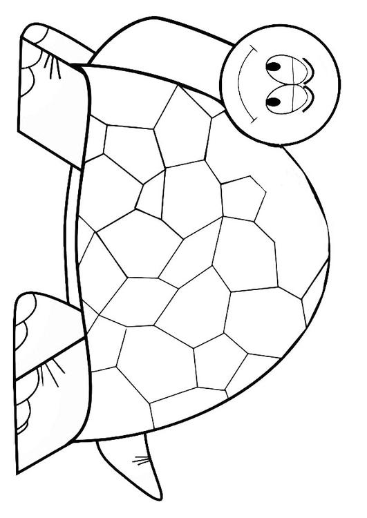 157 Endearing Tortoise Coloring Pages Printable 151