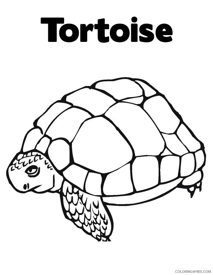 157 Endearing Tortoise Coloring Pages Printable 16