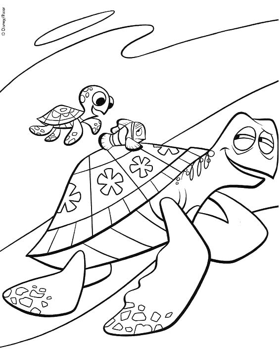 157 Endearing Tortoise Coloring Pages Printable 17