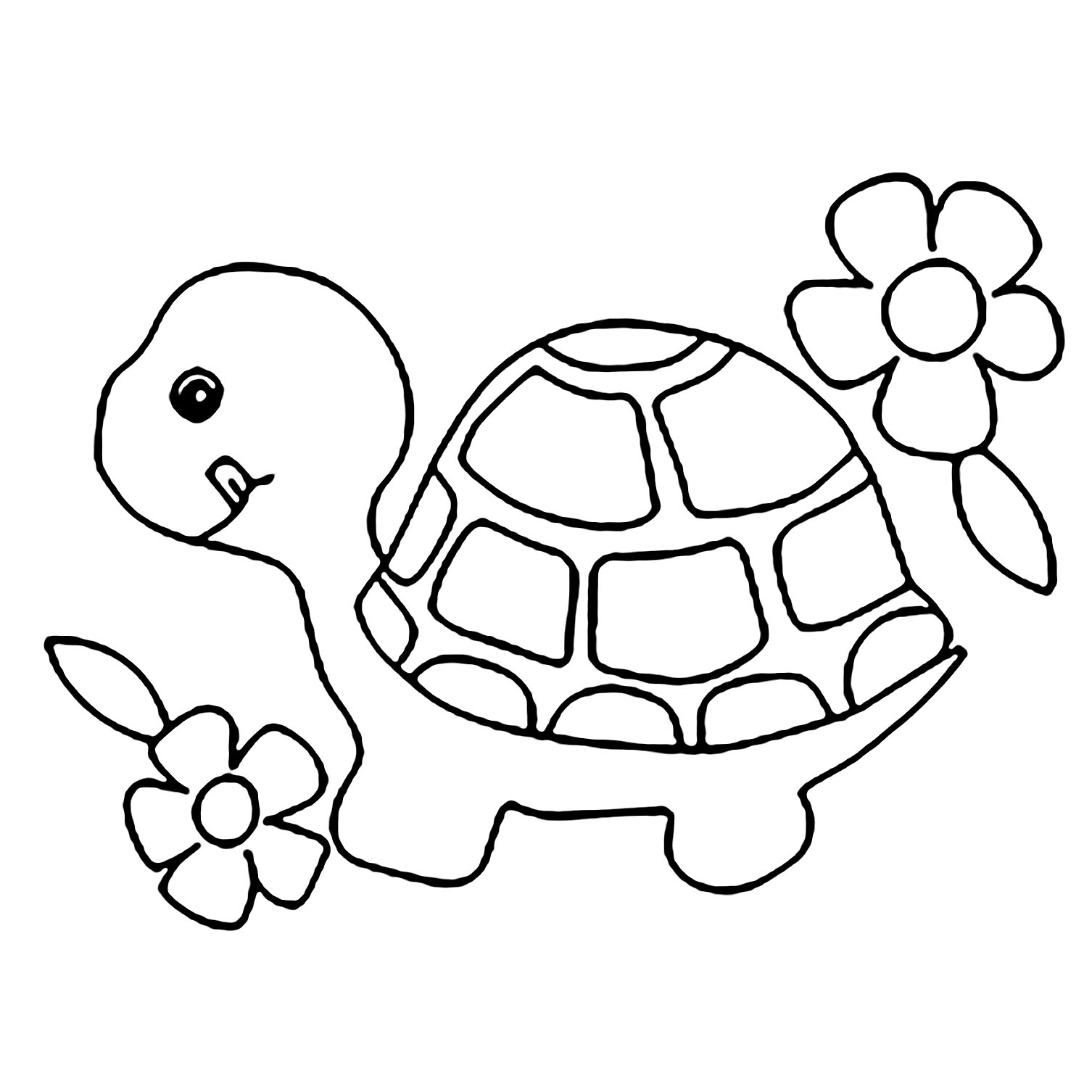 157 Endearing Tortoise Coloring Pages Printable 20