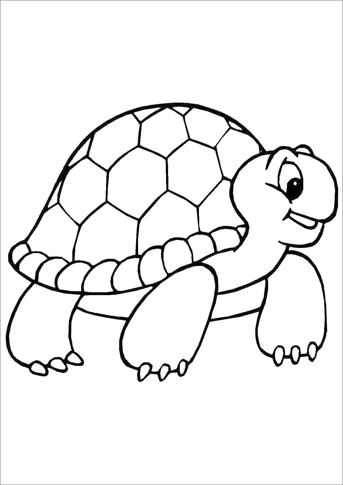 157 Endearing Tortoise Coloring Pages Printable 22