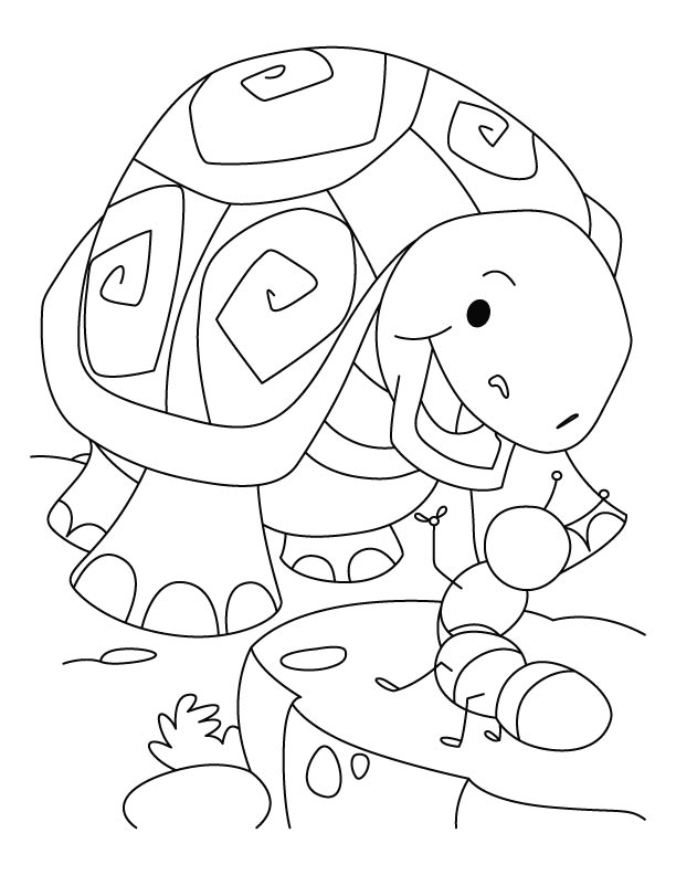 157 Endearing Tortoise Coloring Pages Printable 25