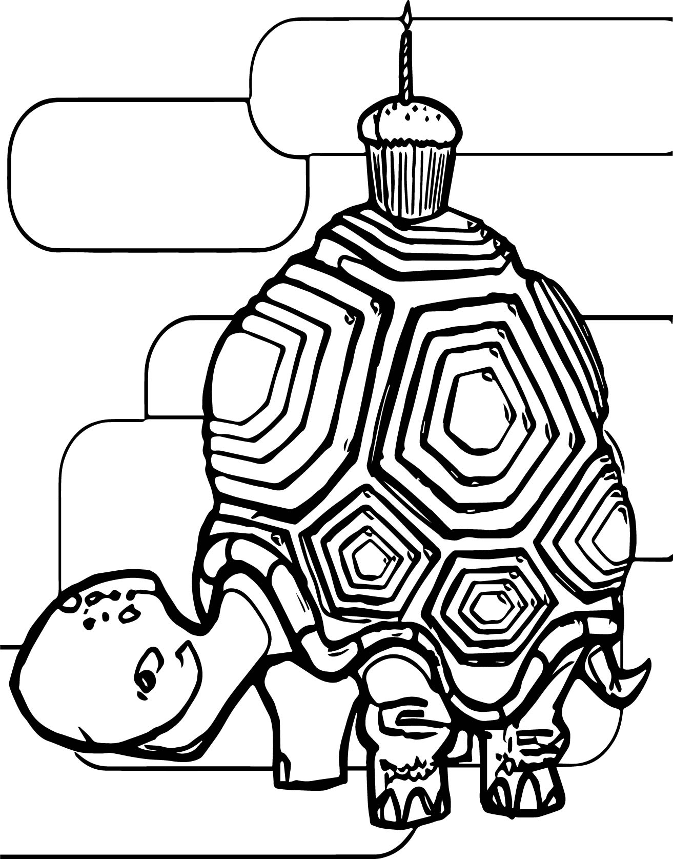 157 Endearing Tortoise Coloring Pages Printable 3