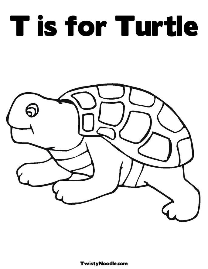 157 Endearing Tortoise Coloring Pages Printable 39