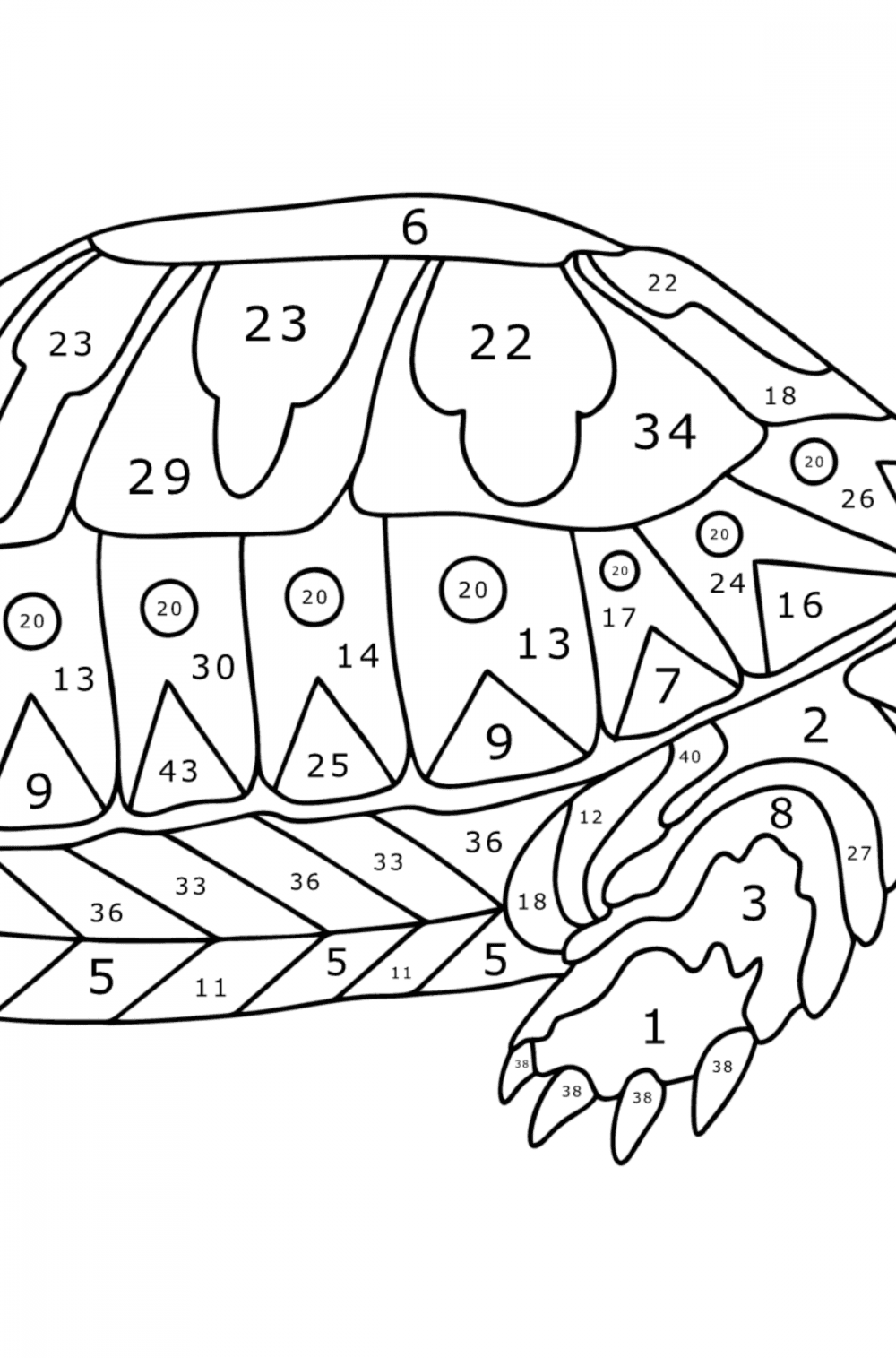 157 Endearing Tortoise Coloring Pages Printable 40