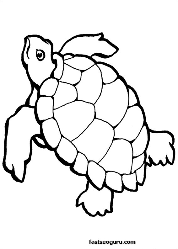 157 Endearing Tortoise Coloring Pages Printable 42