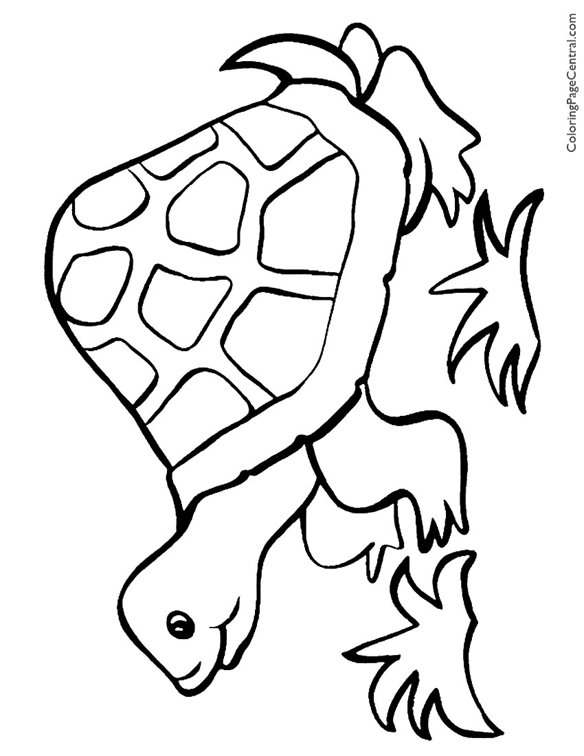 157 Endearing Tortoise Coloring Pages Printable 57