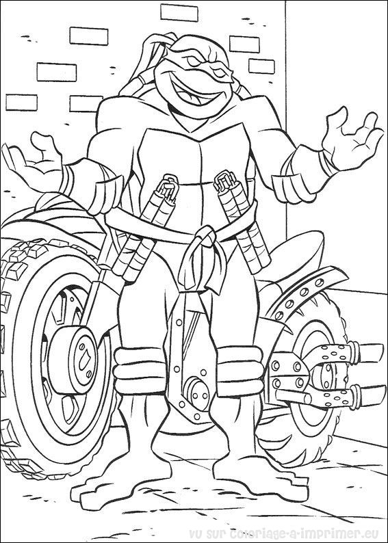 157 Endearing Tortoise Coloring Pages Printable 62